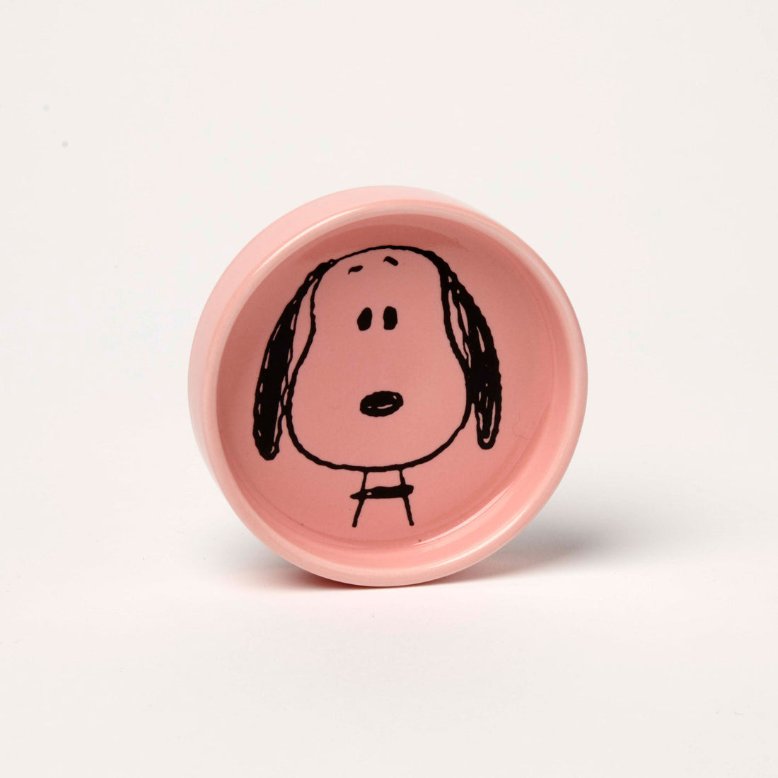 Peanuts Pin Dish Visage