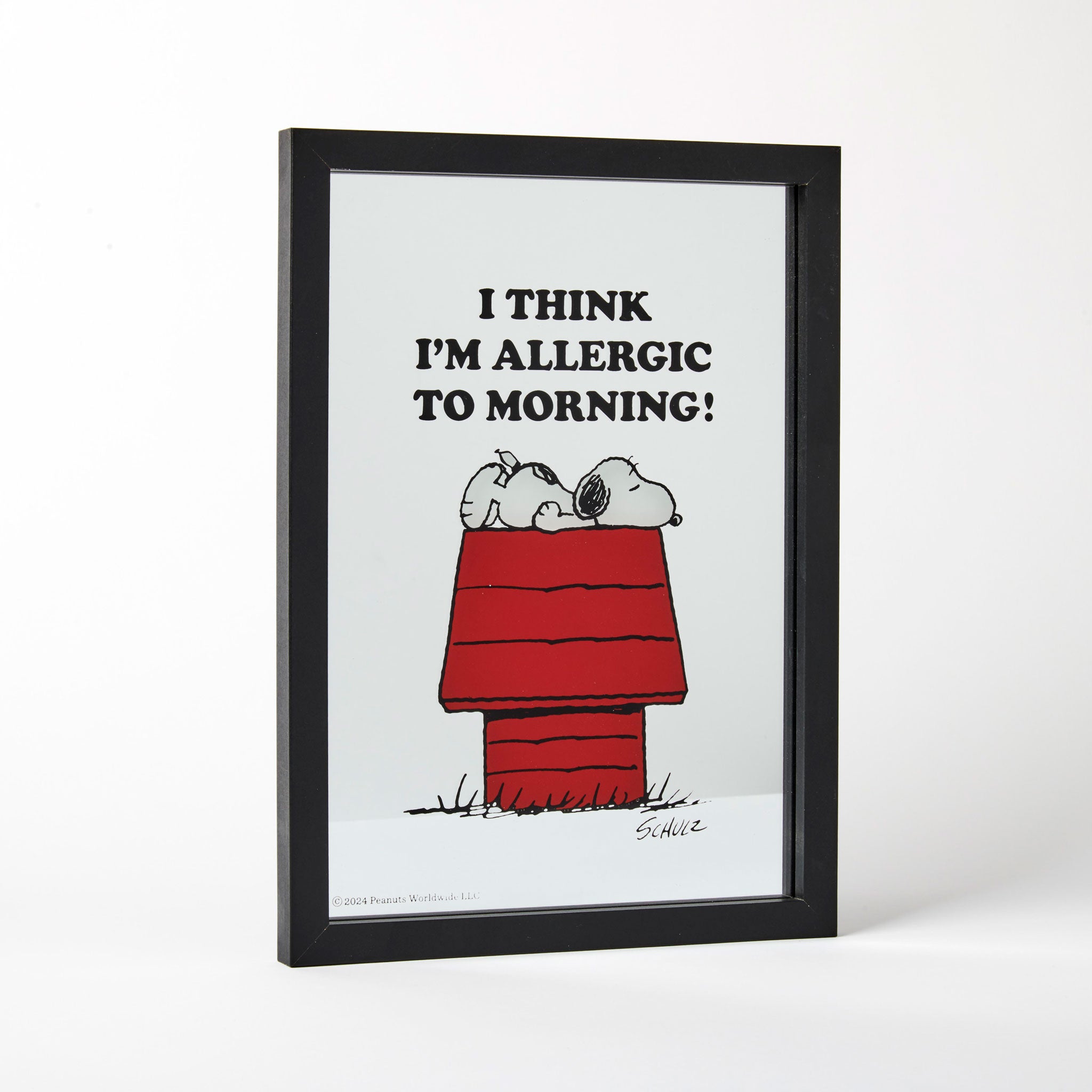 Peanuts Framed Mirror - Morning