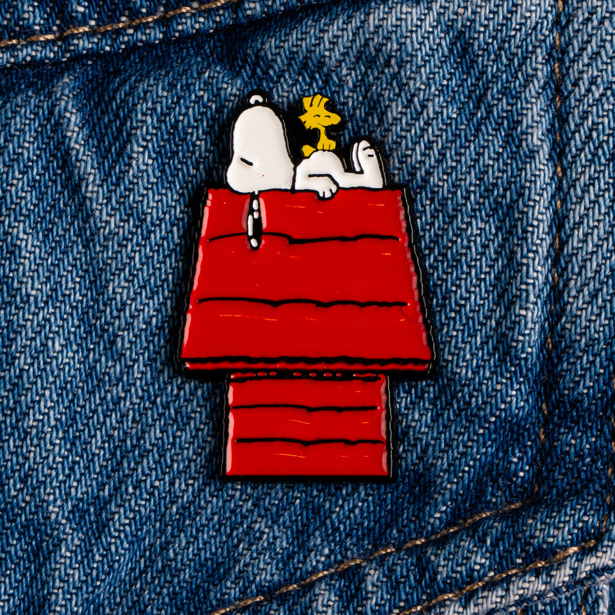 Peanuts Friends Forever Enamel Pin - House
