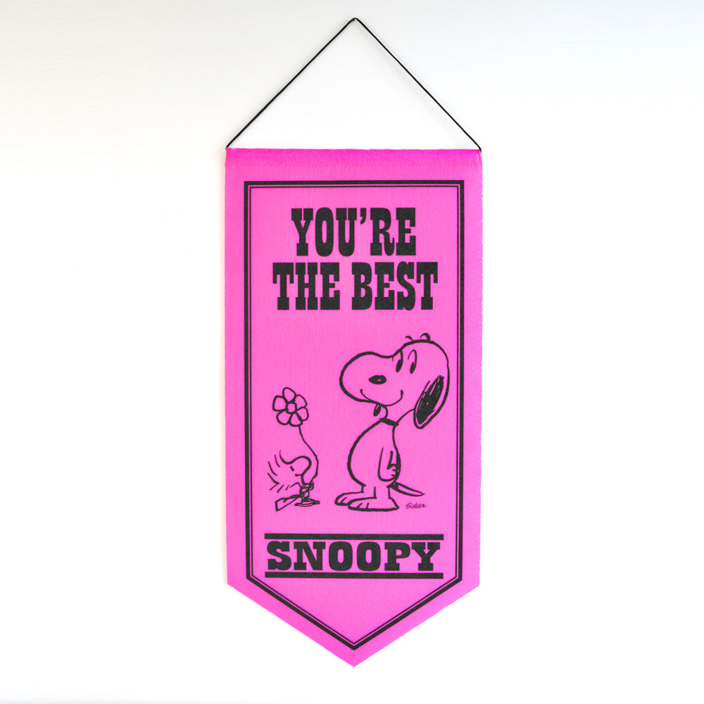 Peanuts The Best Pennant