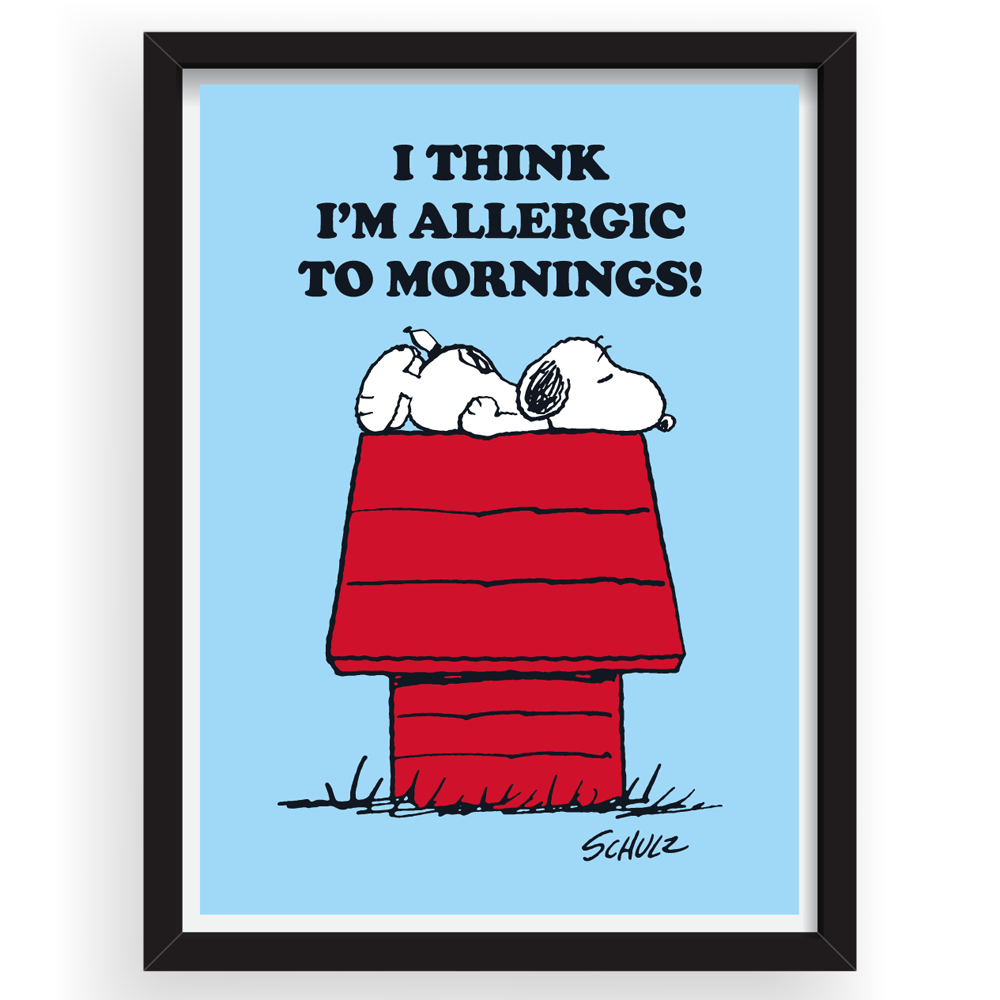 Peanuts A3 Framed Art - Allergic to Mornings